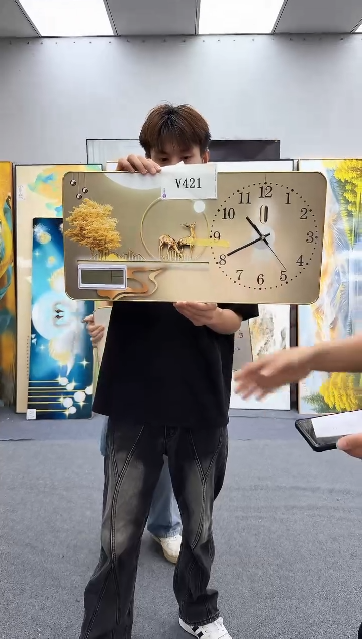 孤品微瑕黑马闪购V421