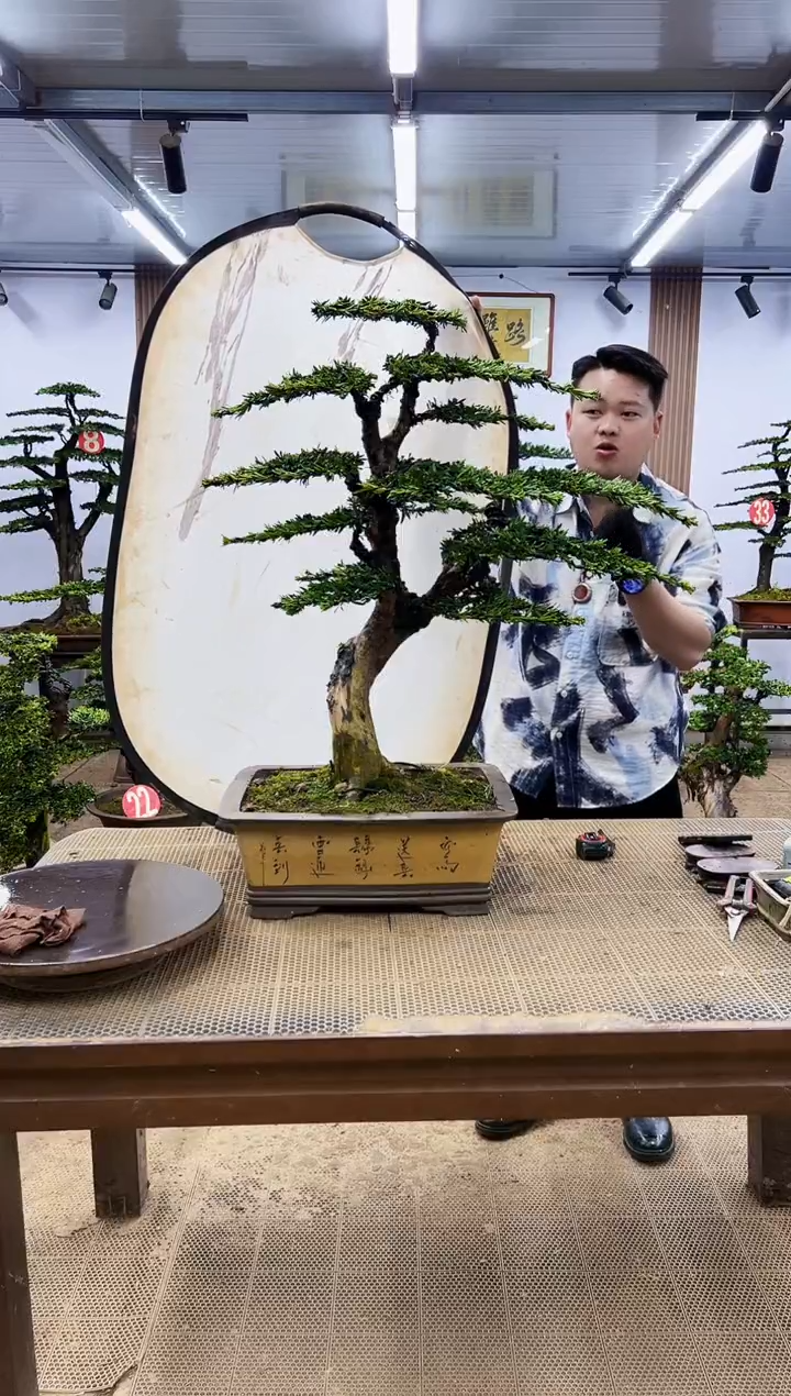 一物一拍，所见即所得