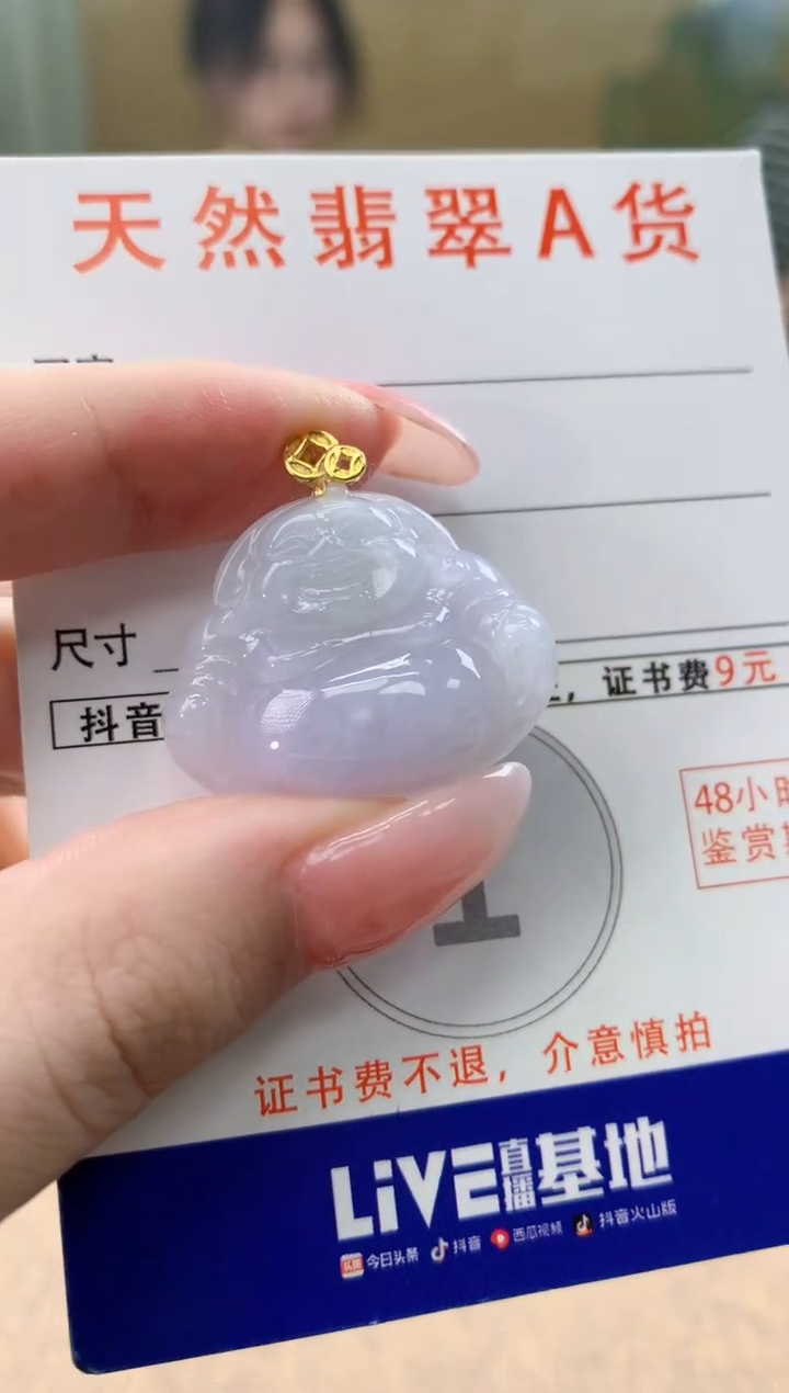 颈饰未镶嵌翡翠天然A货翡翠挂件