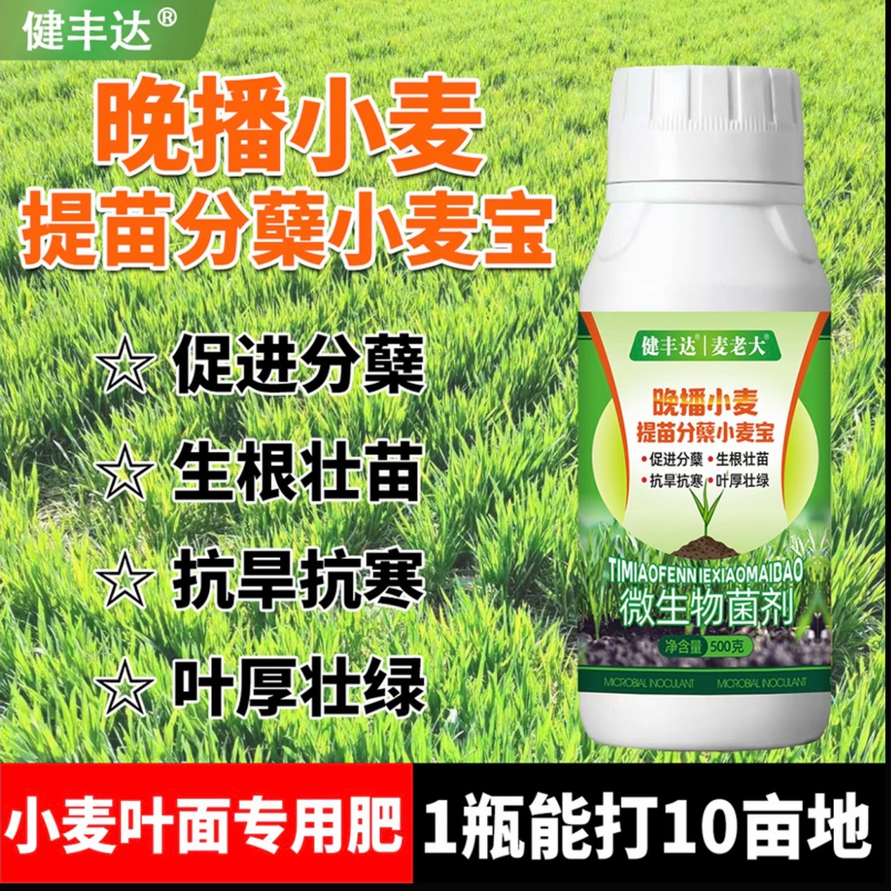 晚播小麦专用肥料生根壮苗抗旱防冻