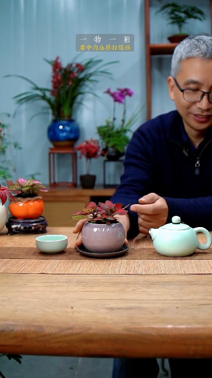 完全开放我****主嫣红蔓366