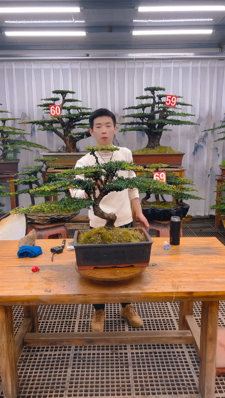 【闪购商品】紫砂精品盆景直播间一物一拍