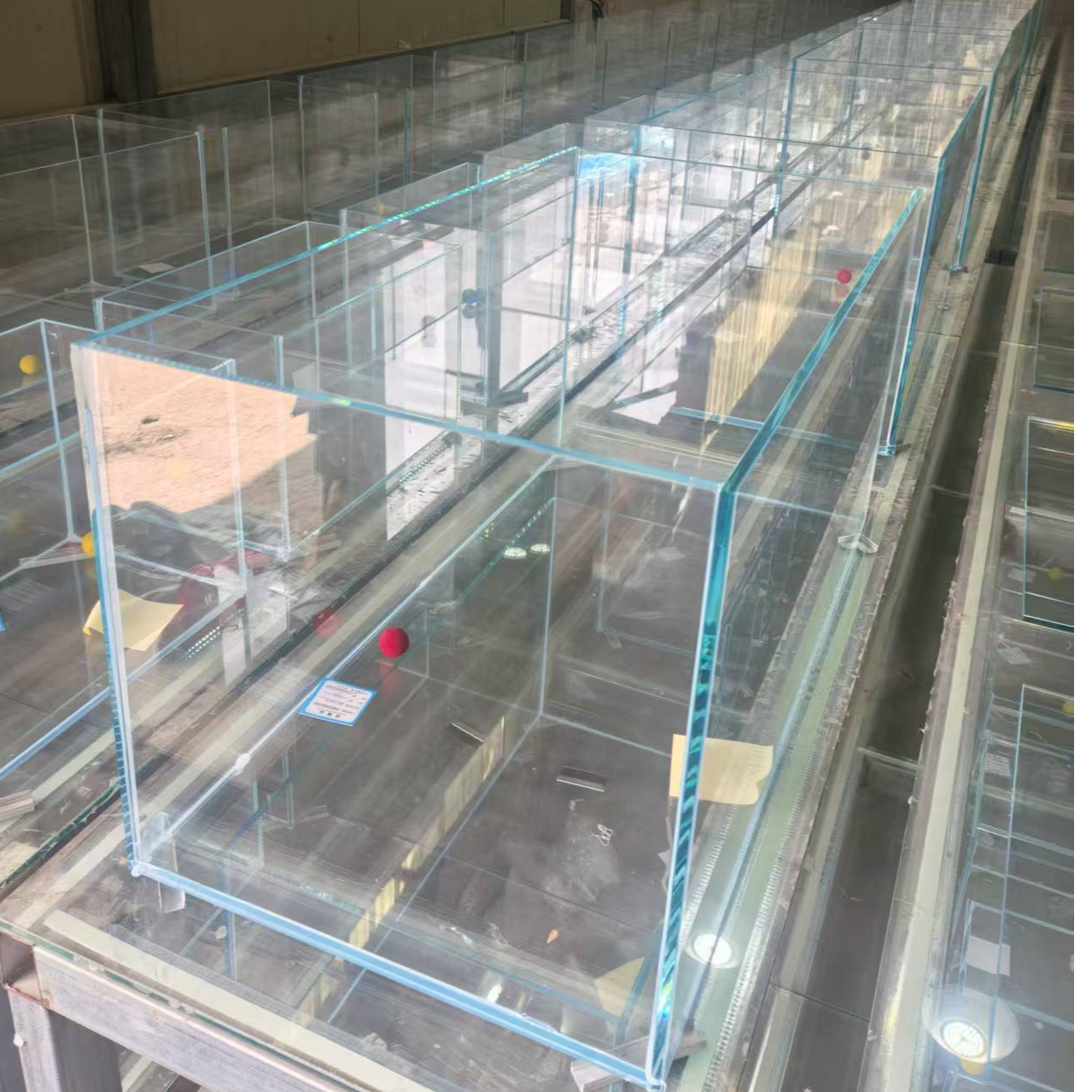30*30*30-6mm金晶五线超白鱼缸福利价