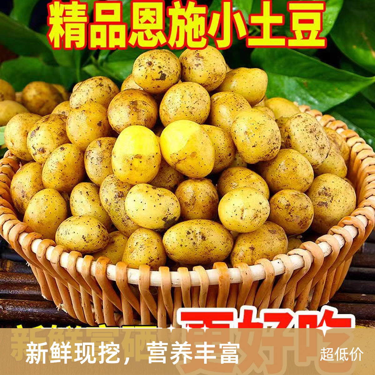 迷你小土豆2500g 特小特小土豆 营养价值高