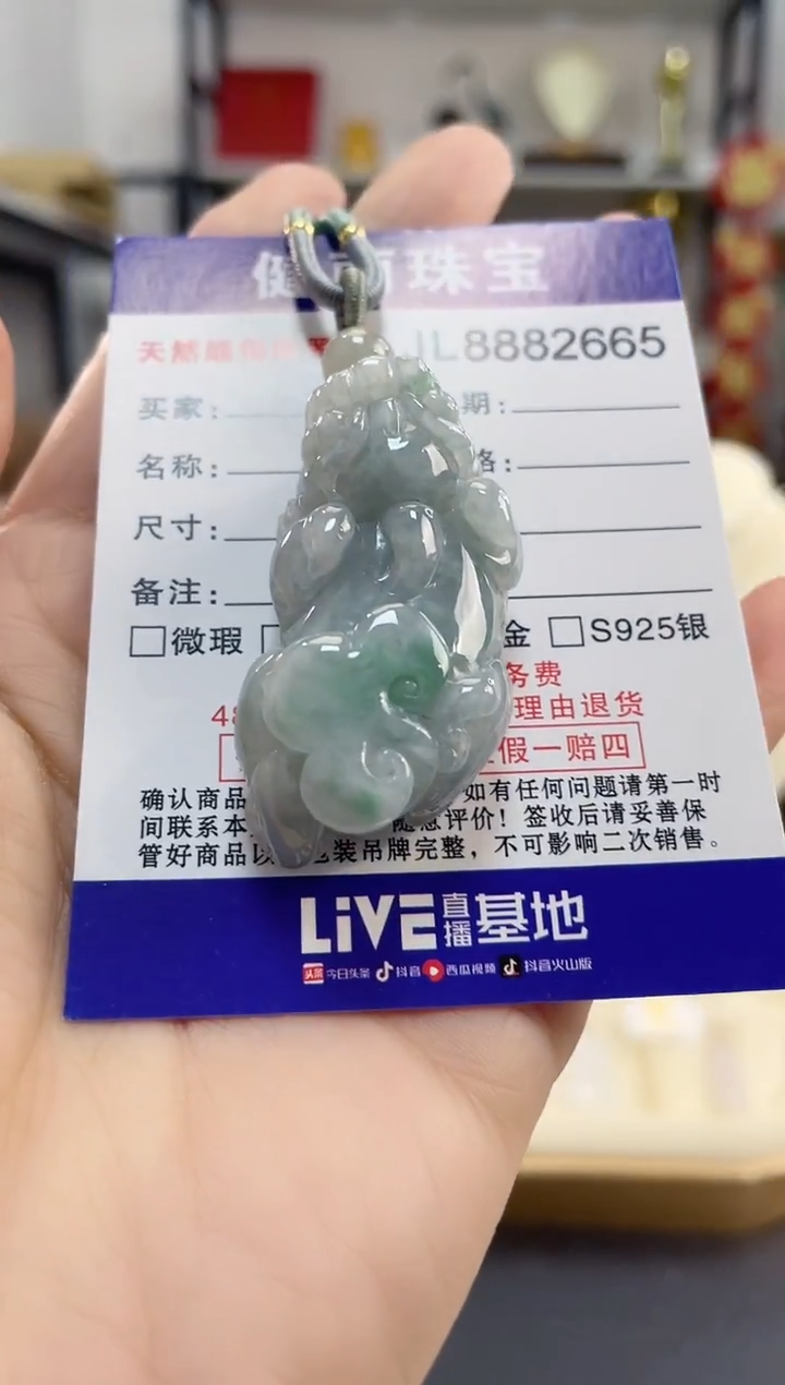 颈饰未镶嵌翡翠貔貅(一物一证)     