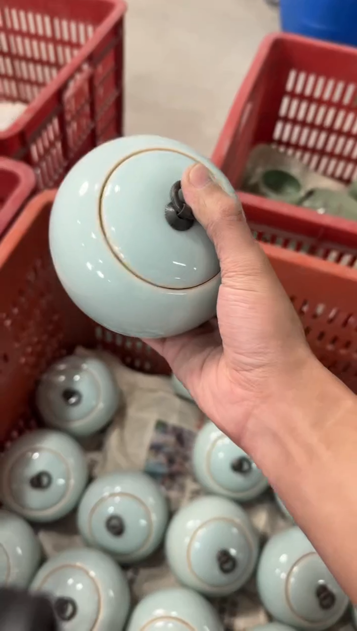 【227 】 八哥专拍