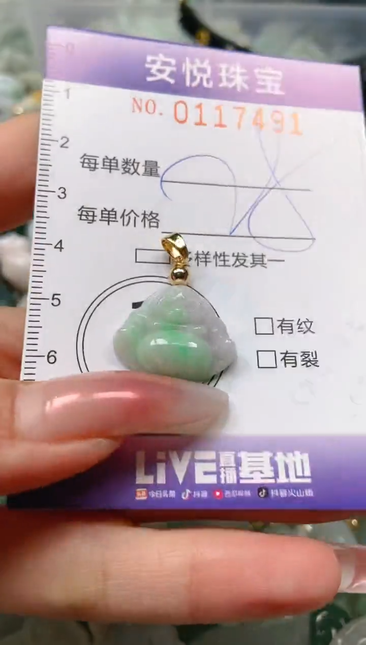 【闪购商品】翡翠颈饰未镶嵌闪购0117491