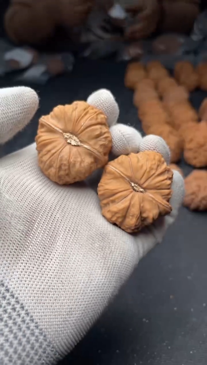 核桃a67  南瓜墩 38尺