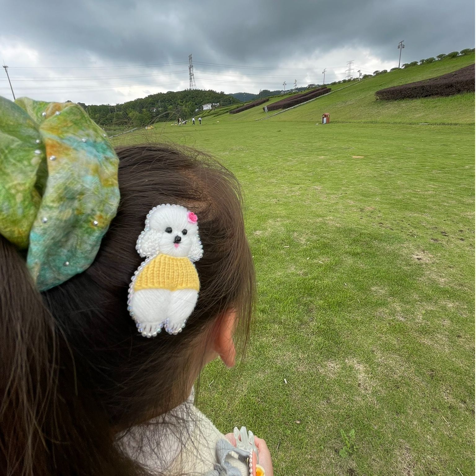 【胸针、发夹·直播间同价·可定制】泰迪、比熊纯手工手绣百搭可爱