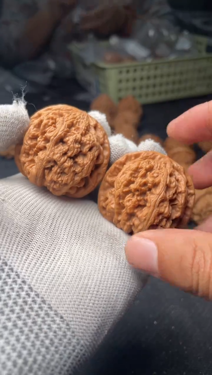 核桃a28  粗筋 45尺