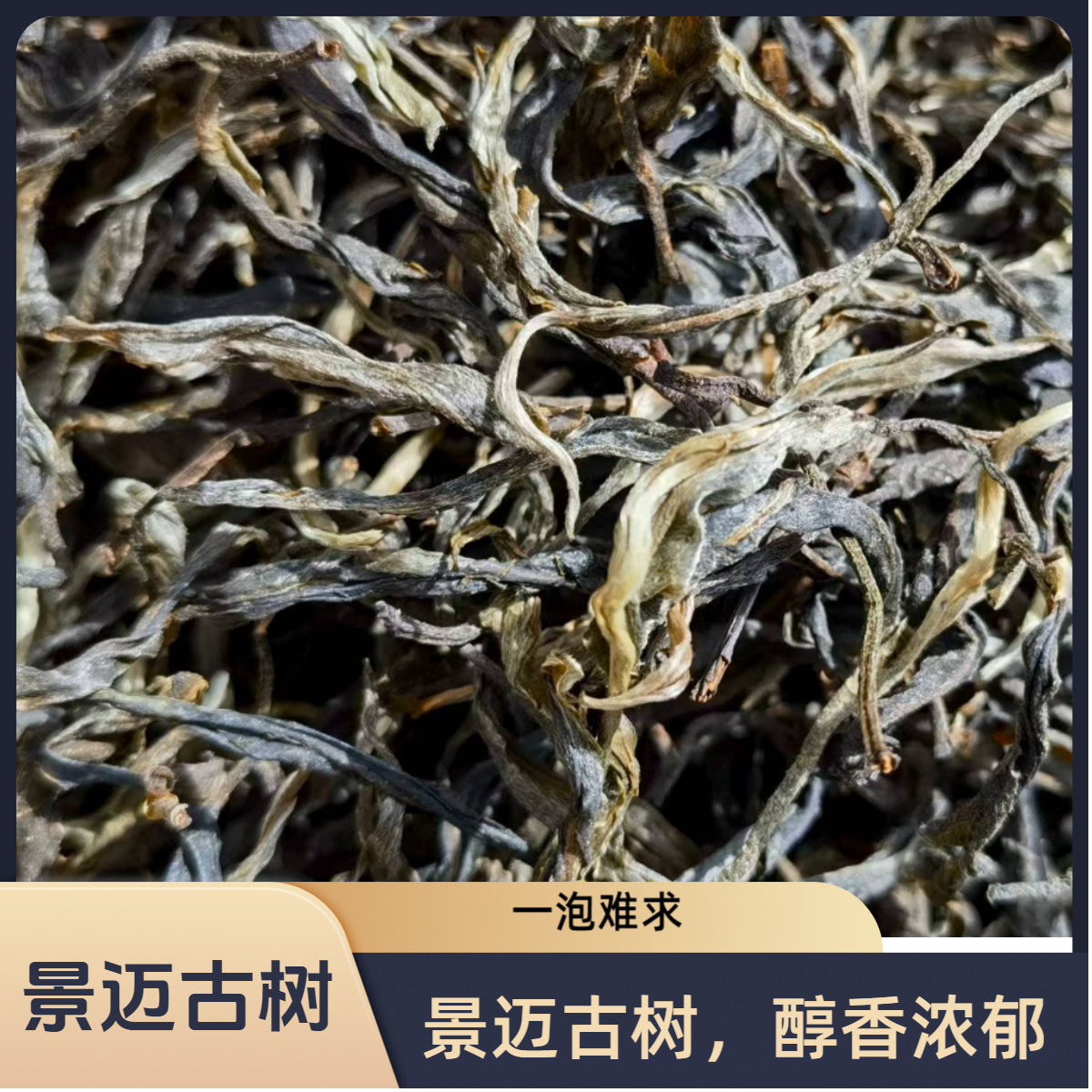 【2025年景迈古树茶】中国云南景迈古茶普洱生茶散茶春茶200克一袋