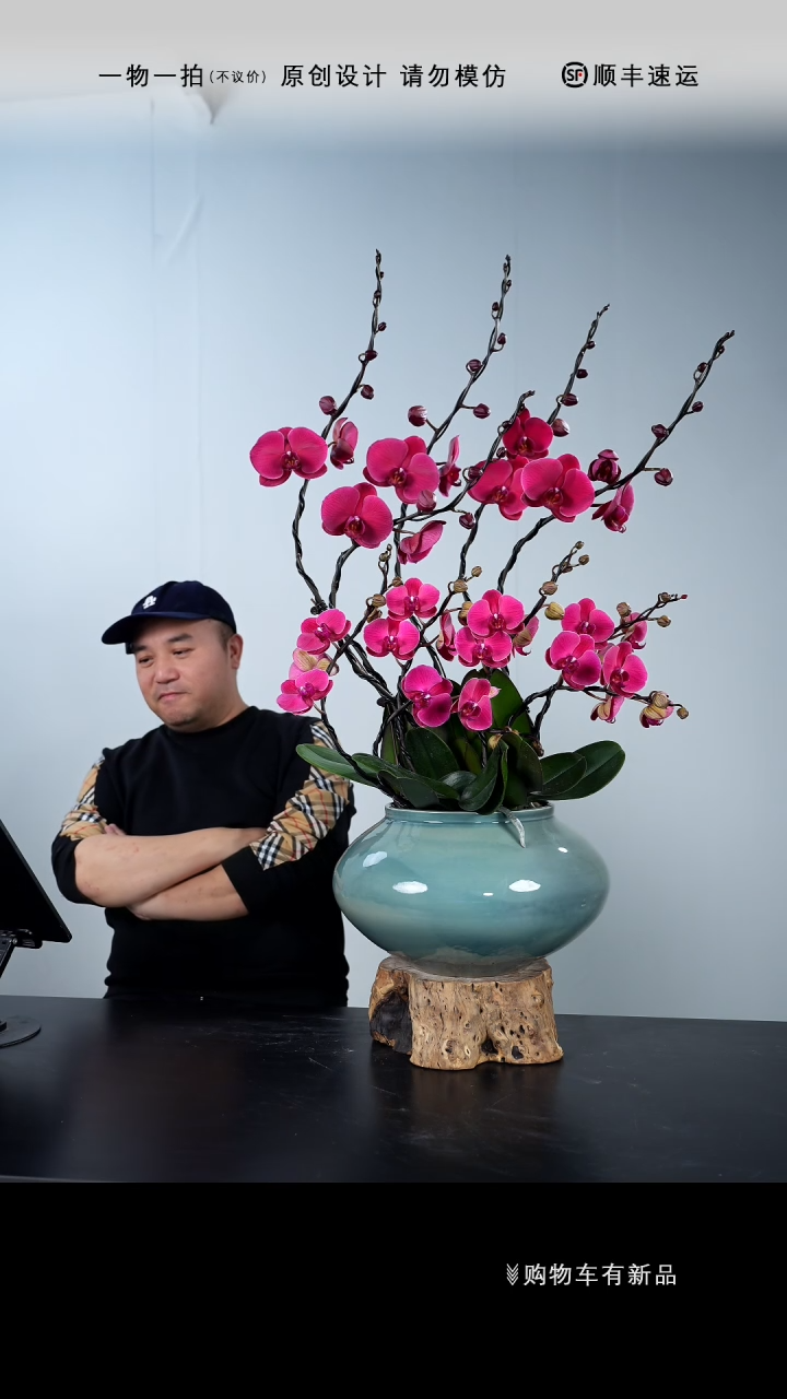 【闪购商品】062号链接【一物一拍】艺术盆景