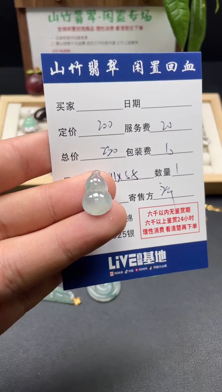 颈饰未镶嵌翡翠3002841