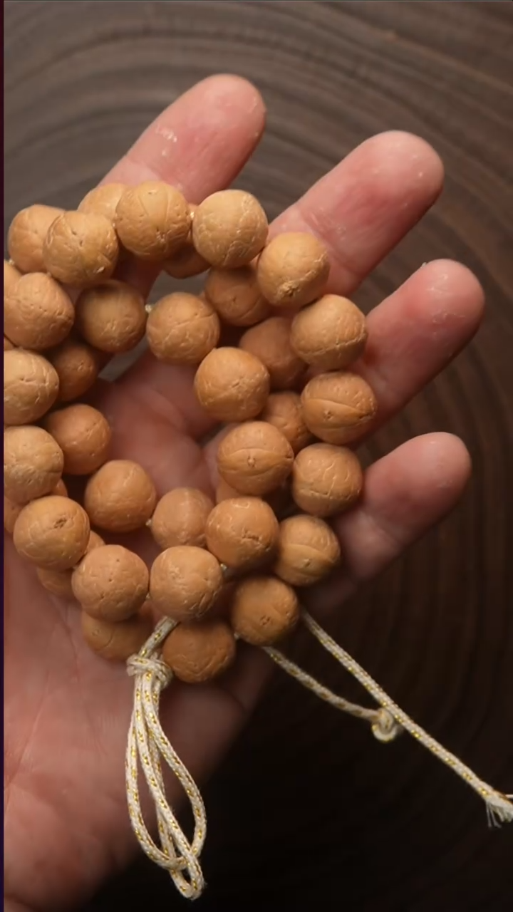手串凤眼菩提70号手持13mm