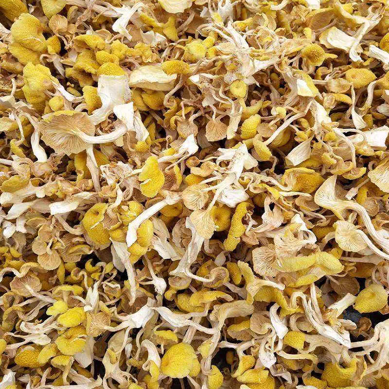 深山（榆黄蘑）自然晾晒 食用菌250克