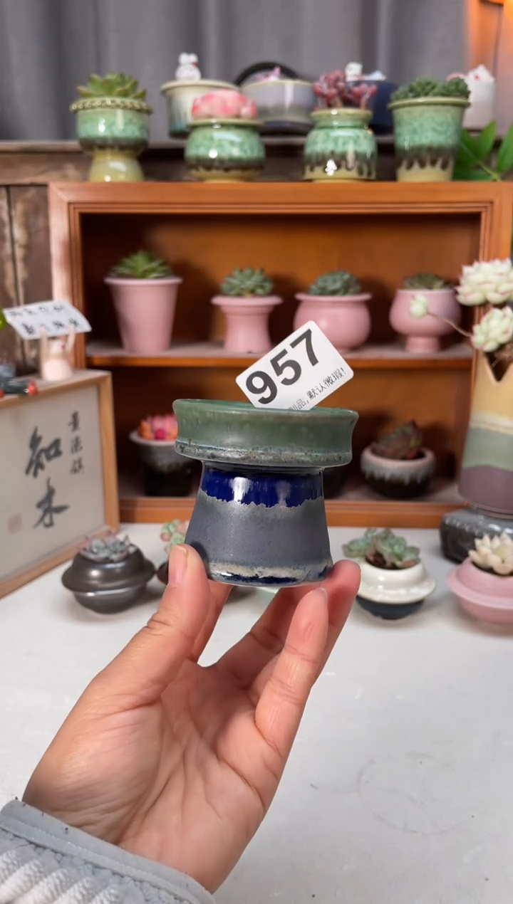 瓷片957小芳直播编号