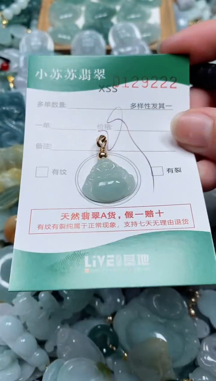 【闪购商品】翡翠颈饰未镶嵌闪购商品0129222