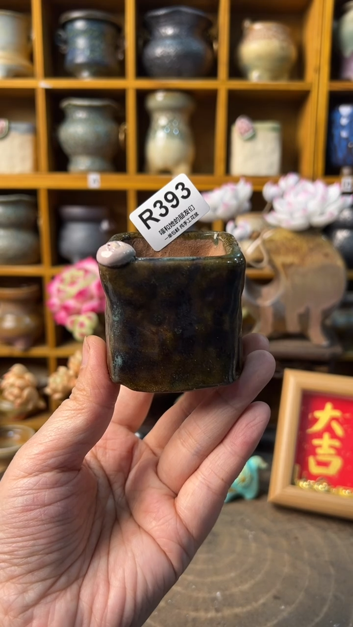 393 内口4【多肉花盆多肉盆】