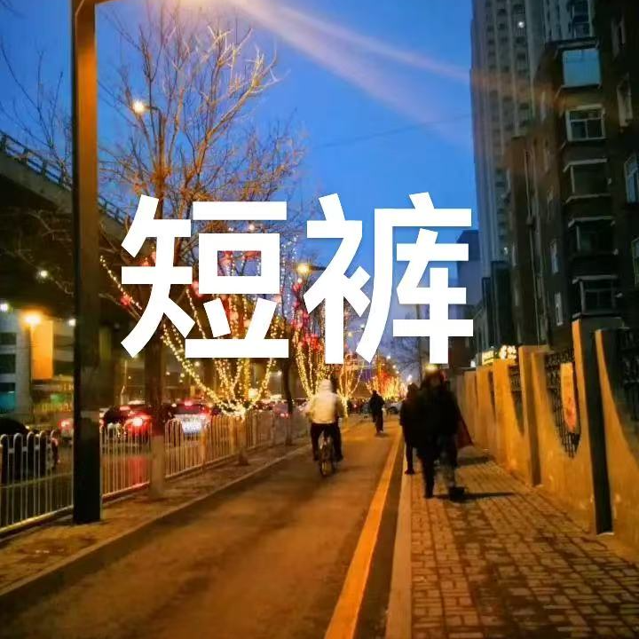 专属链接-2025夏季男款百搭宽松运动休闲短裤033