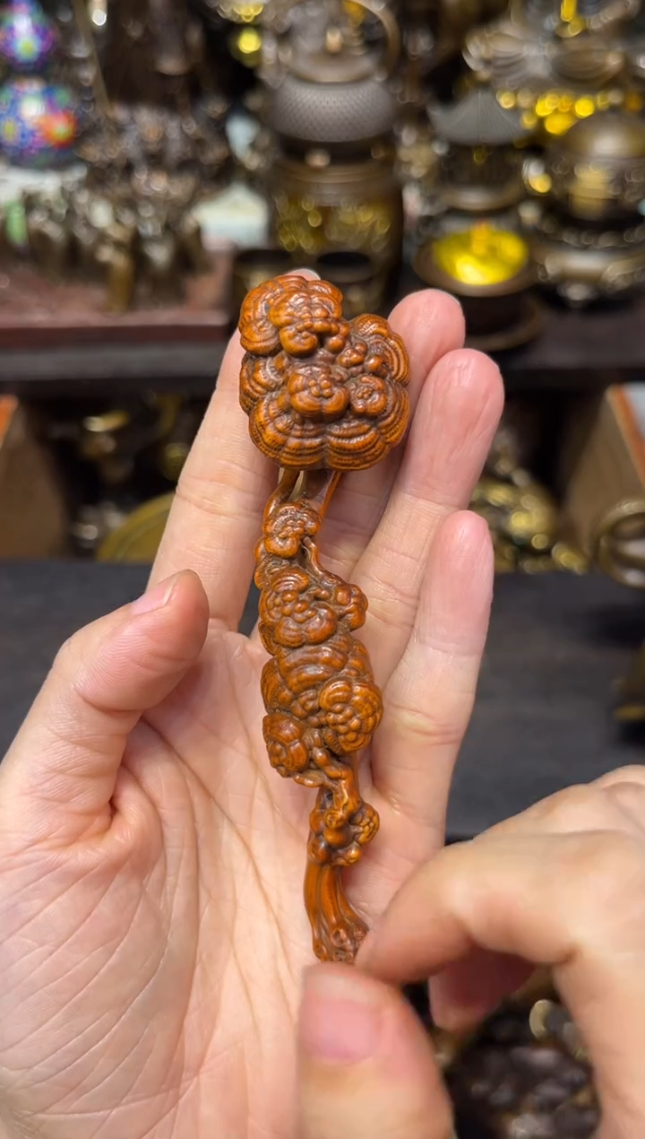 黄杨木f瑞瑞专属精选链接