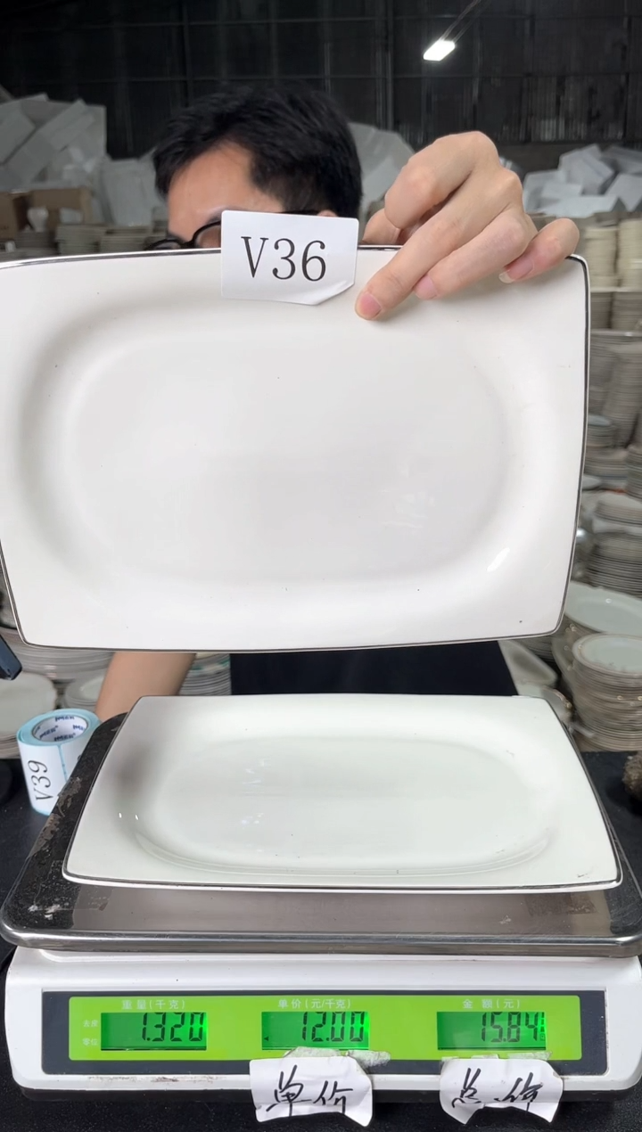 新骨瓷V36  10寸  2个