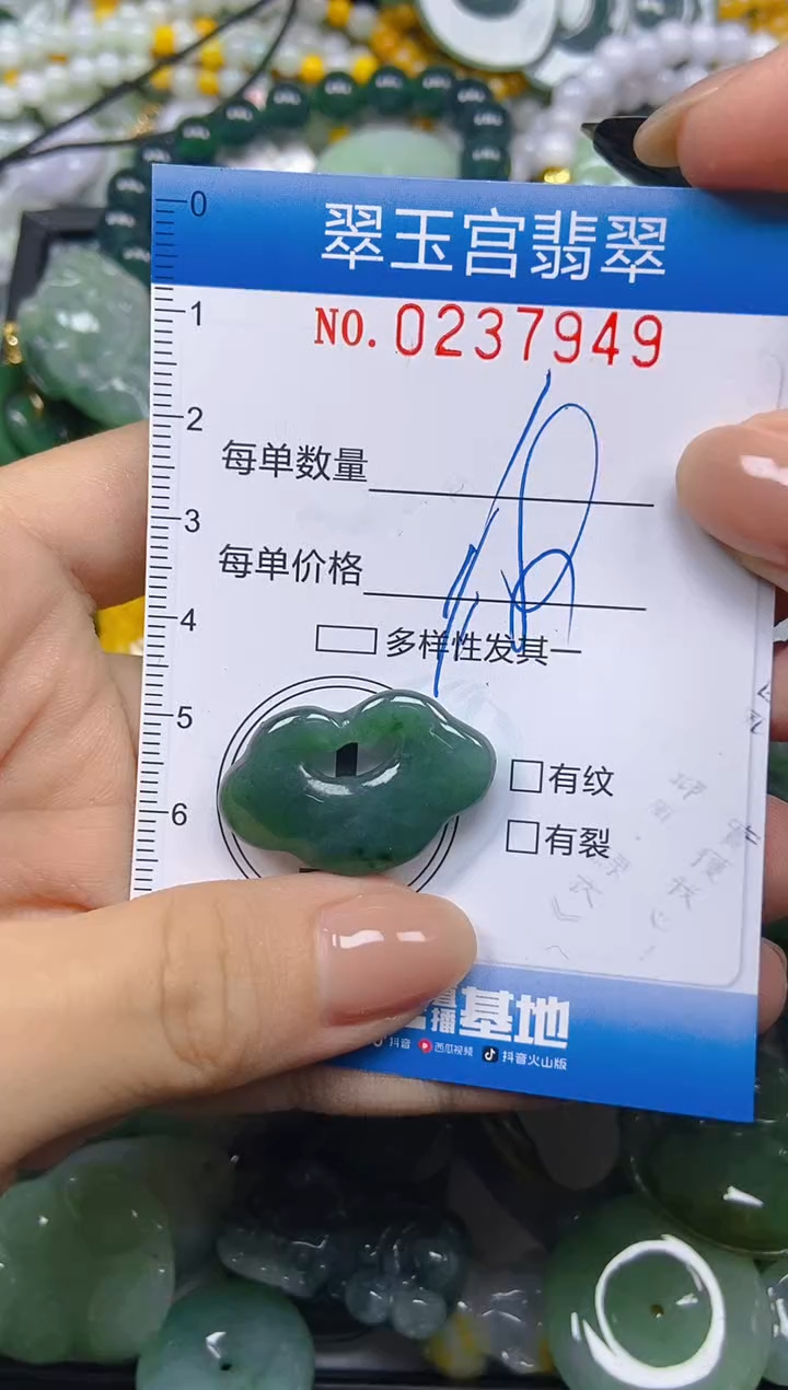 颈饰未镶嵌翡翠闪购C0237949