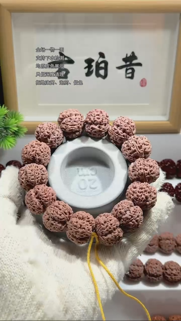 【闪购商品】金刚菩提手串【古珀昔•天陨】24.5mm