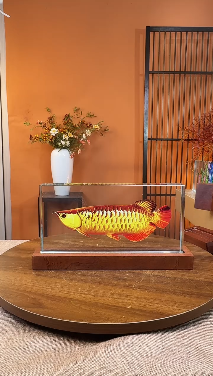 人造水晶方形金龙鱼30/15/4加底座