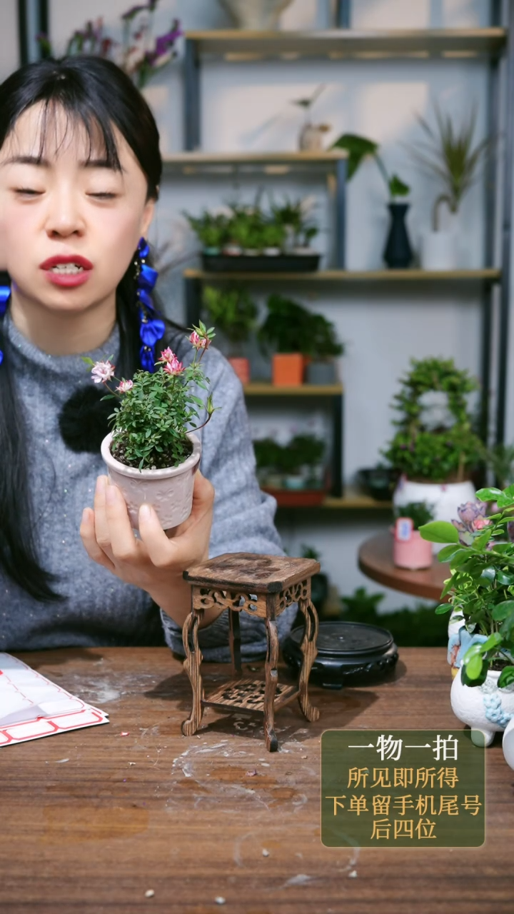 【闪购商品】95--1181月季粉浅