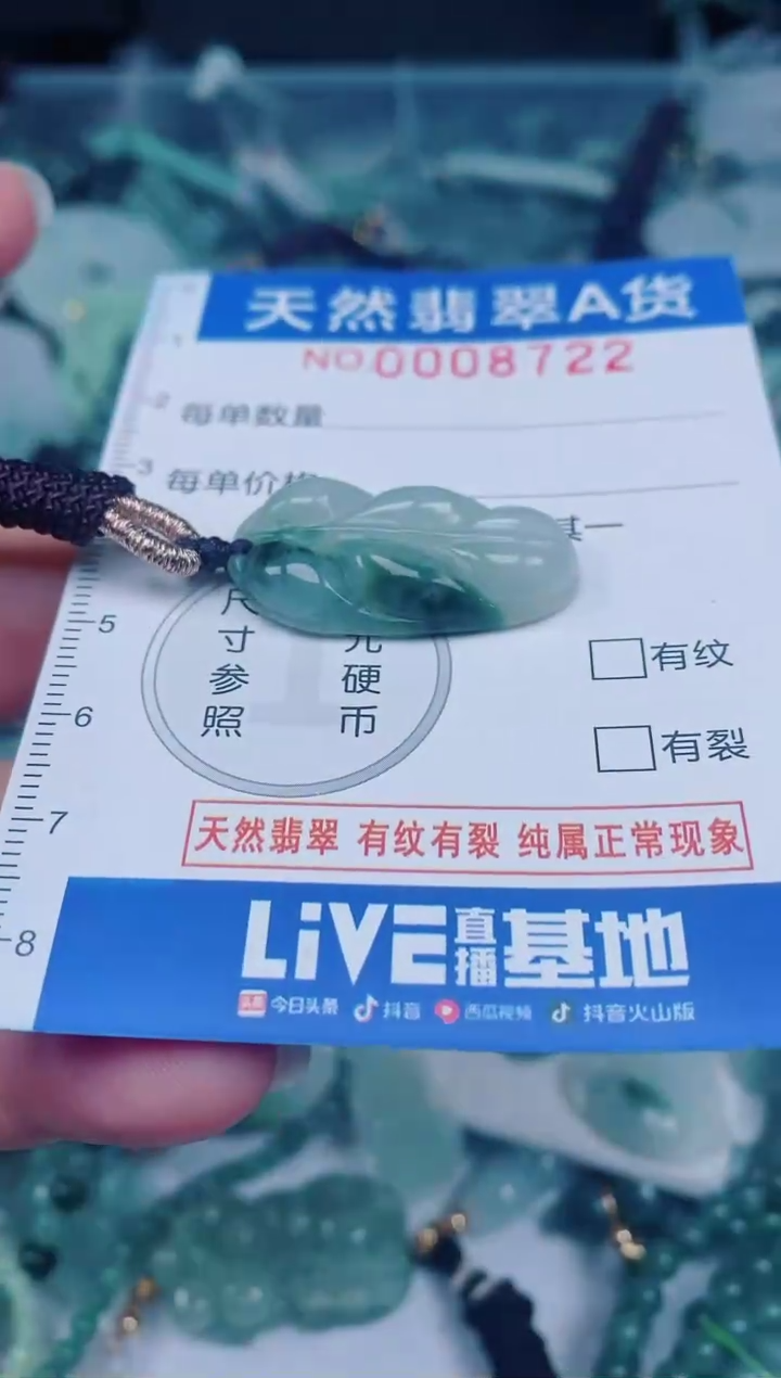 颈饰未镶嵌翡翠00008722
