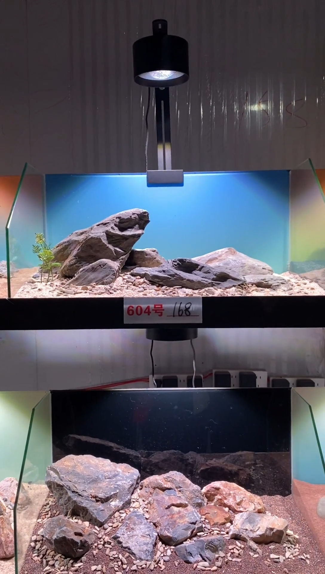 604号鱼缸造景（不含底砂）