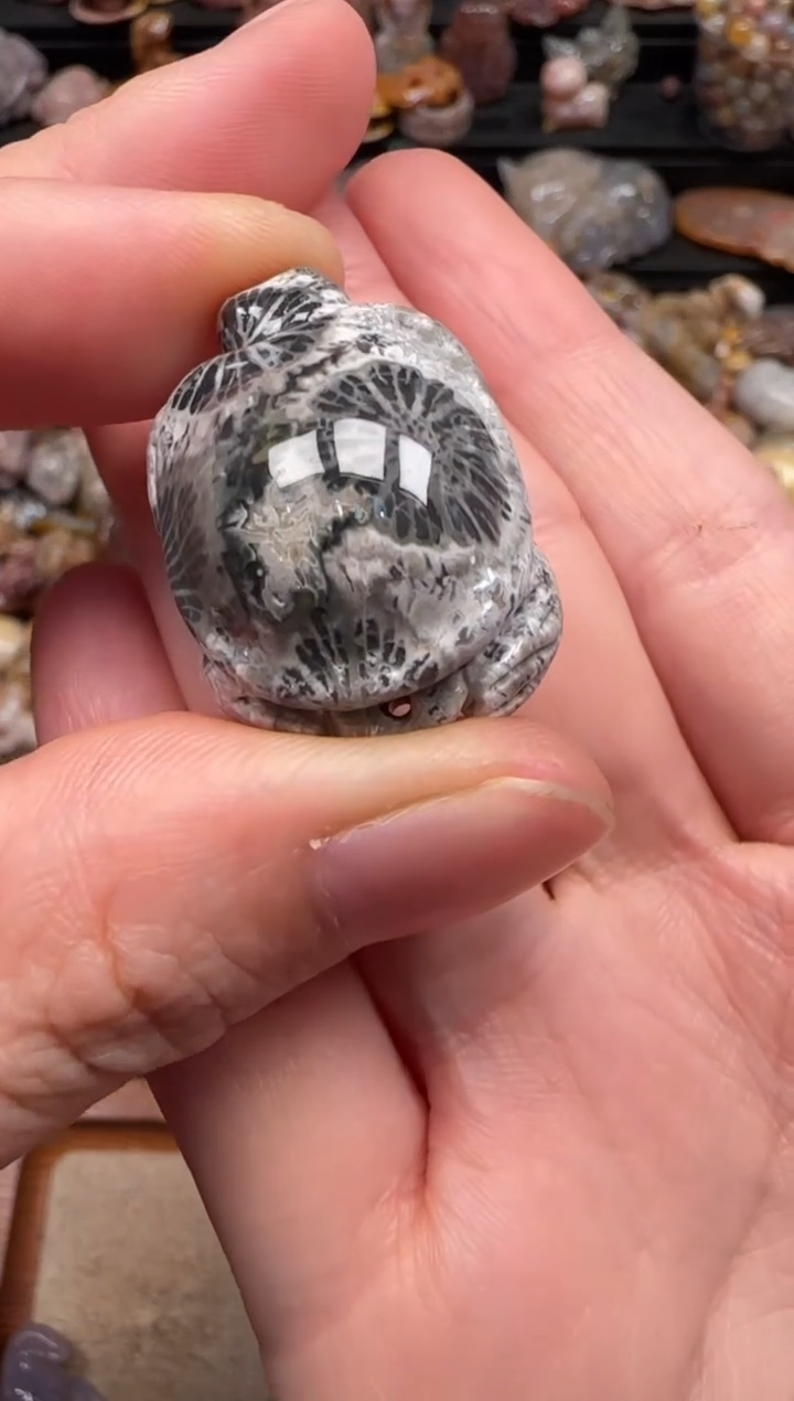 硅化珊瑚（珊瑚玉）未镶嵌颈饰510