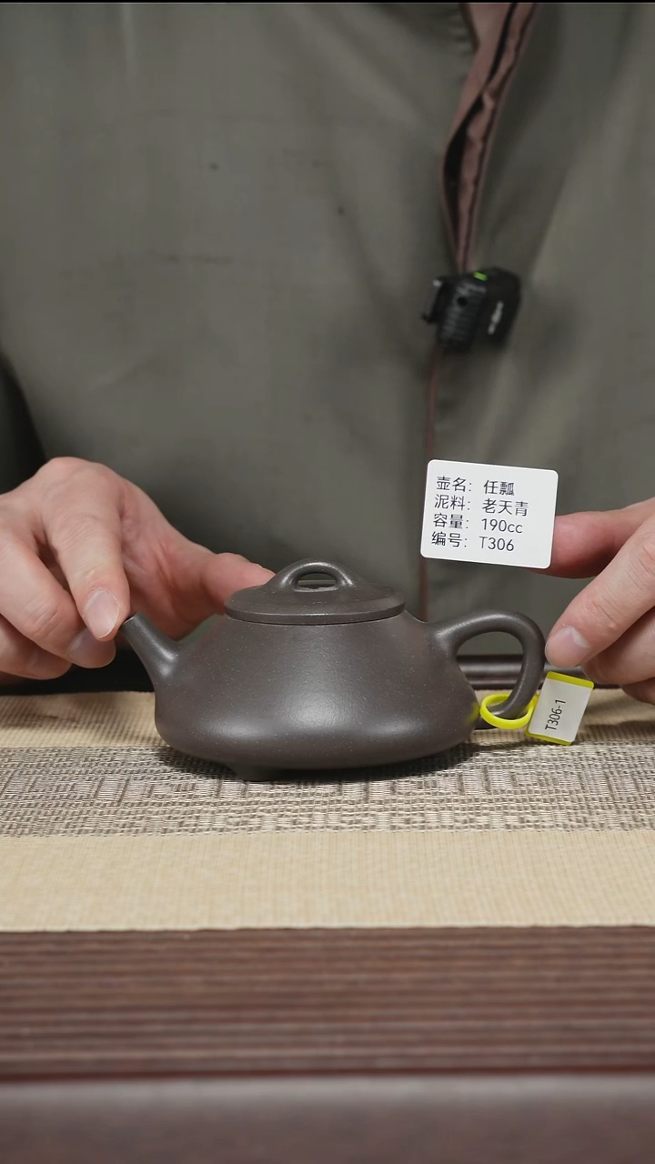 茶壶紫砂T306 大水潭天青泥 任瓢 190cc