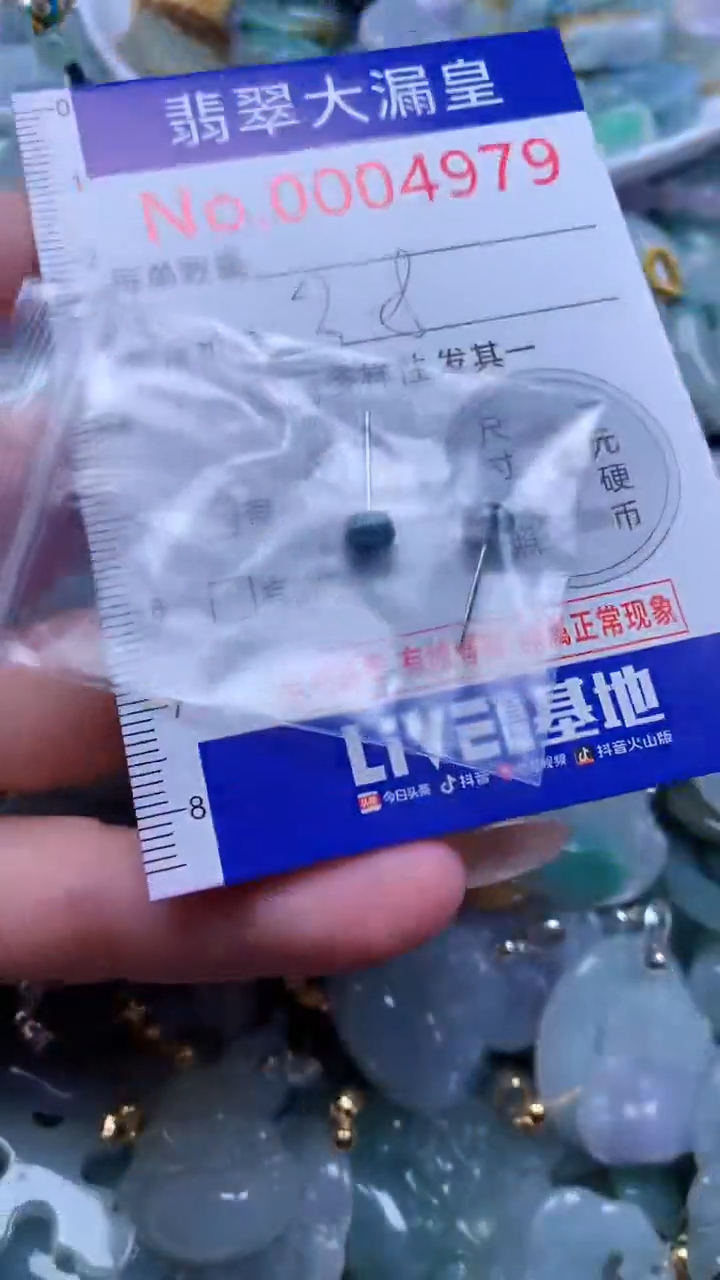 翡翠未镶嵌吊坠(不含链)4979