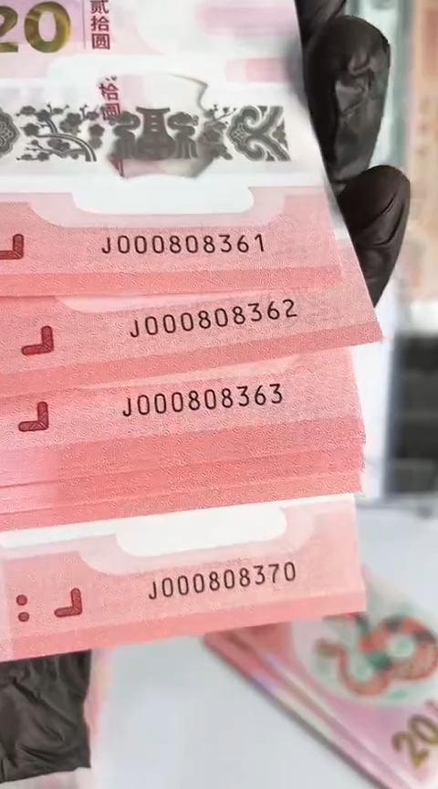 【闪购商品】塑料蛇钞标十号码000808361-70