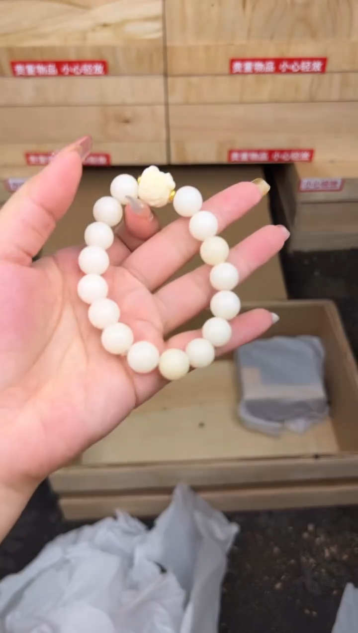 白玉菩提链接@@LSC047