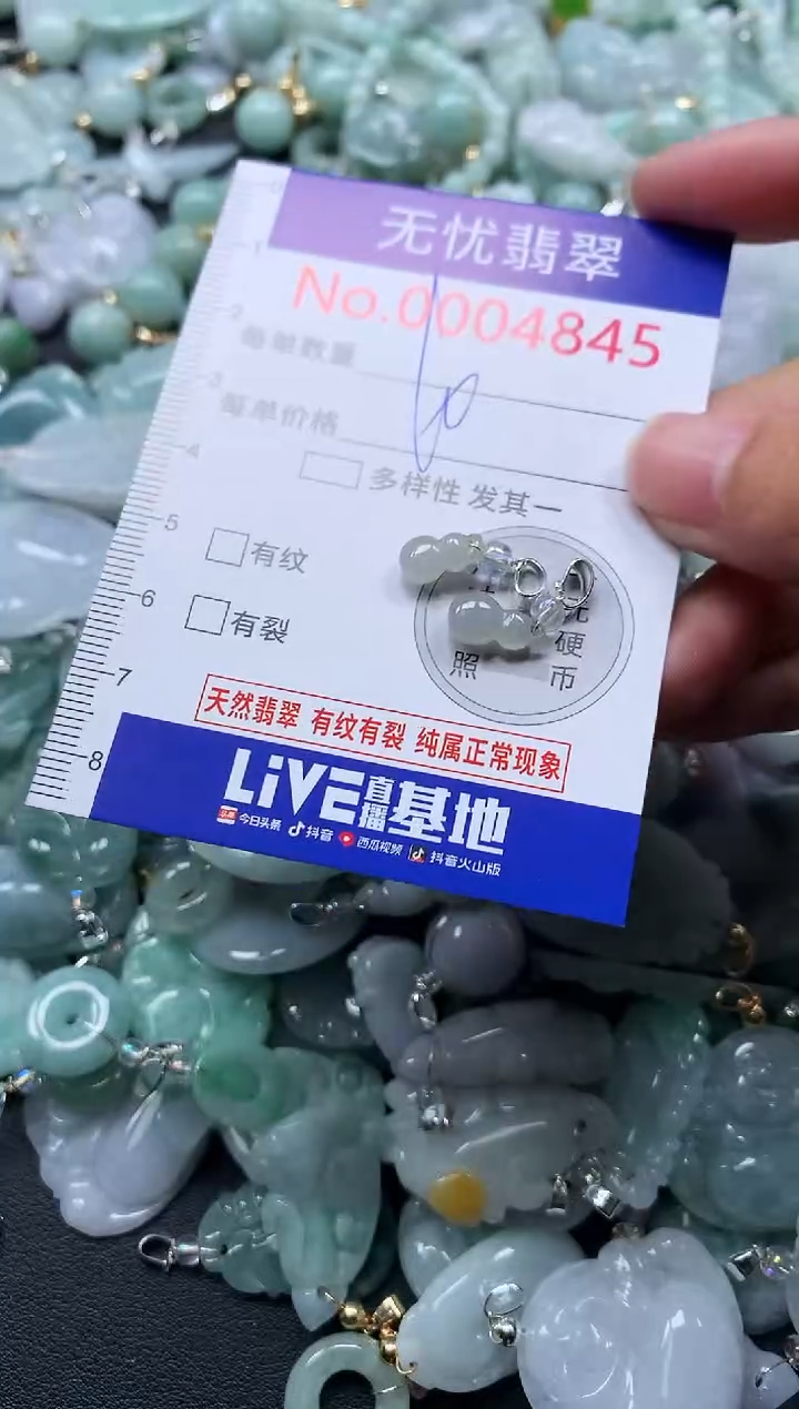 颈饰未镶嵌翡翠4845
