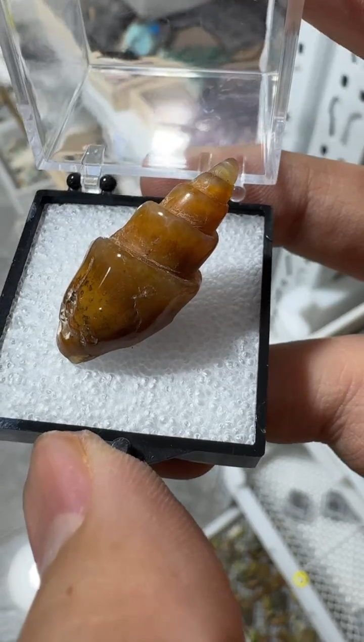 【闪购商品】月下珠宝矿物严选