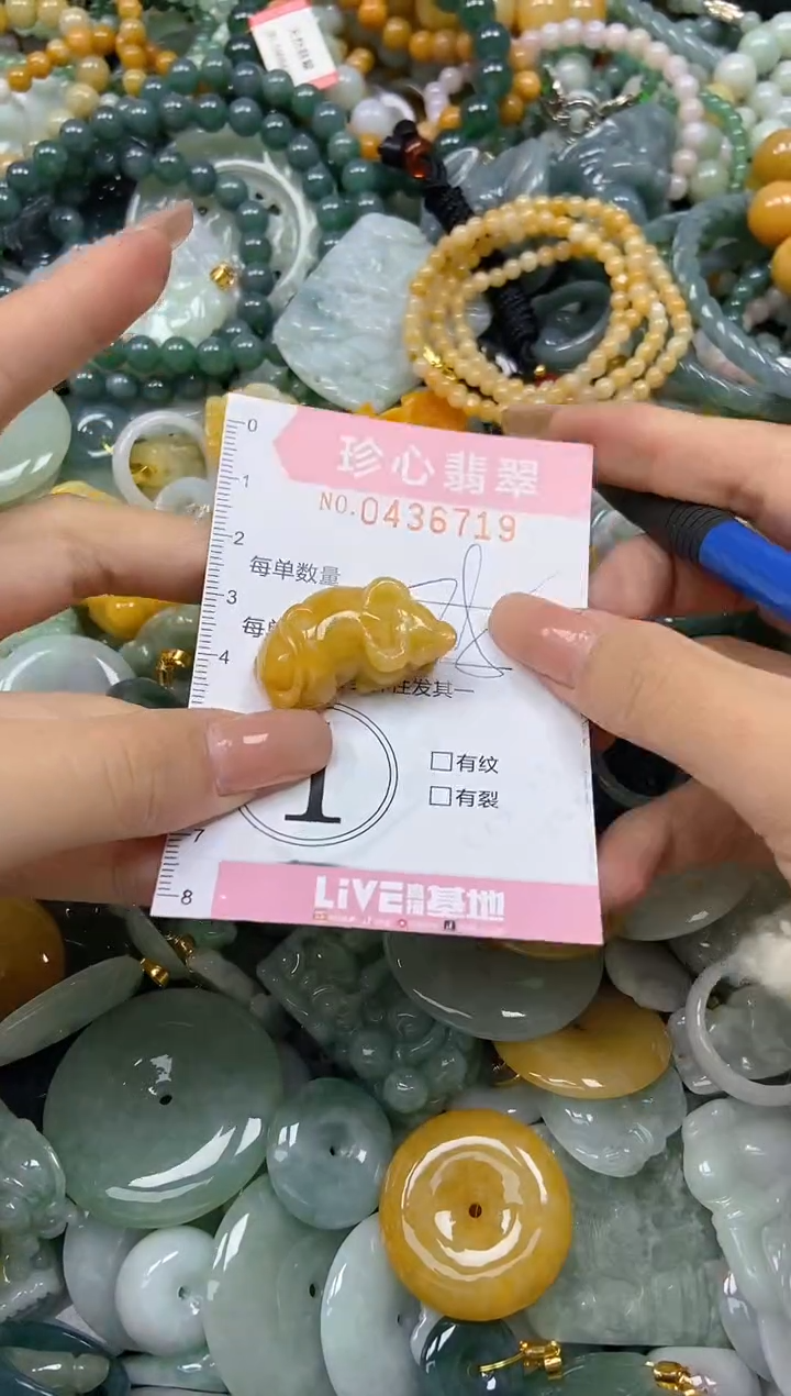 颈饰未镶嵌翡翠闪购0436719