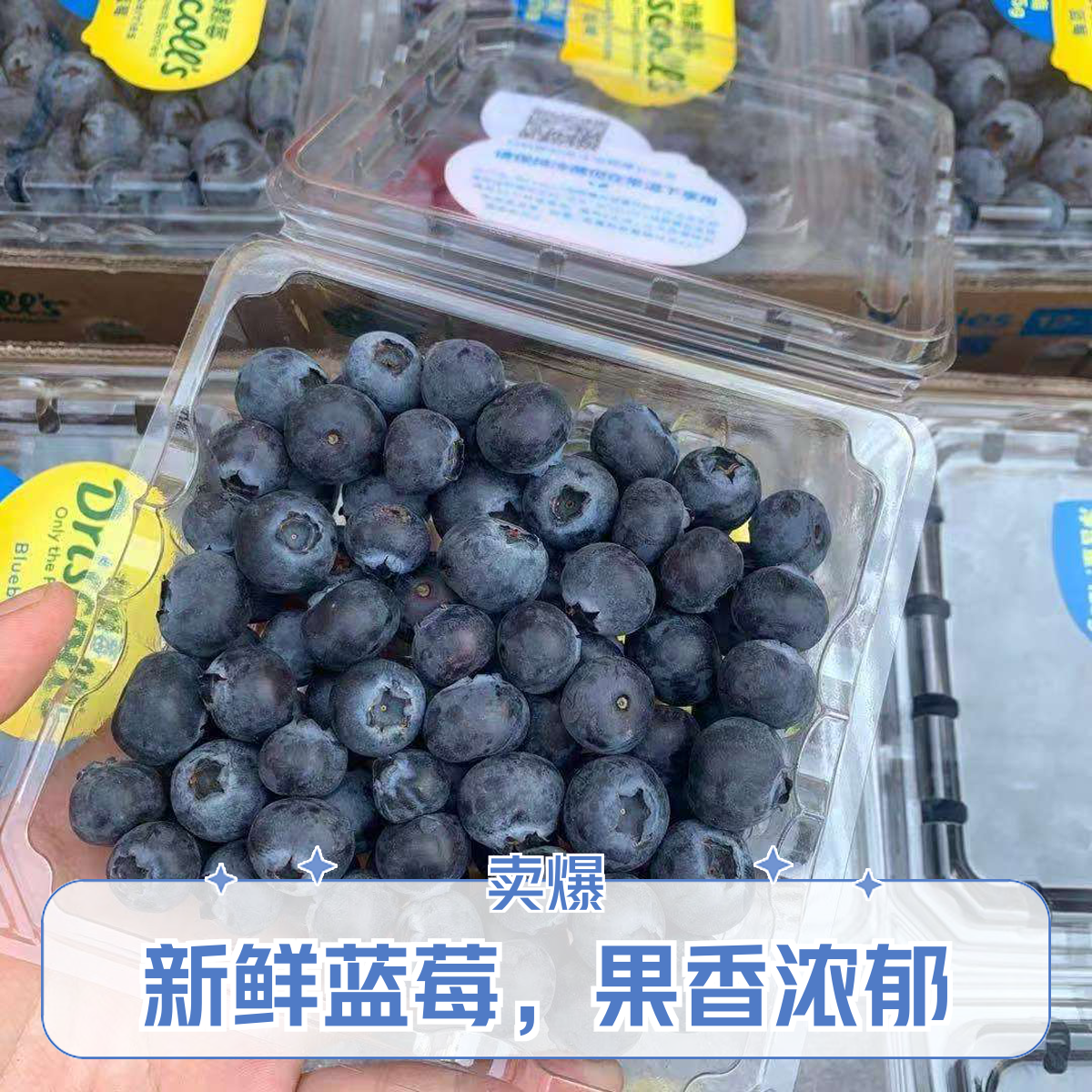 【1盒】怡颗莓蓝莓125克