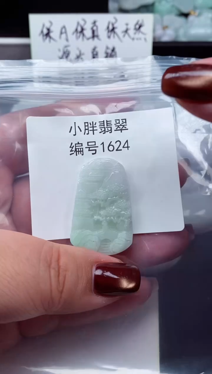 颈饰未镶嵌翡翠缅甸天然A货翡翠1624