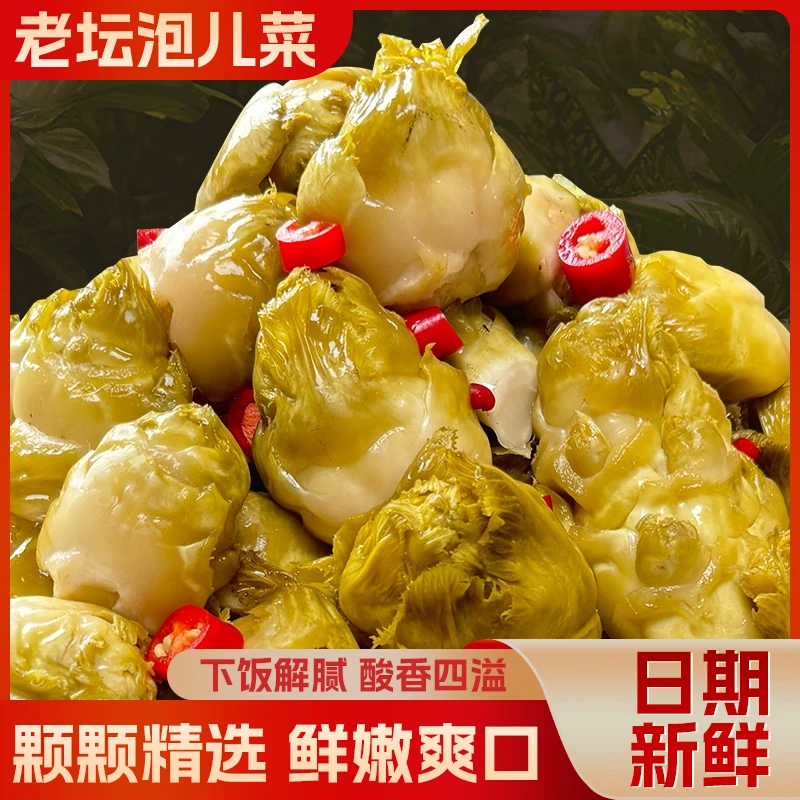 【泡儿菜清脆爽口】泡菜类清脆爽口适合下饭家庭食用