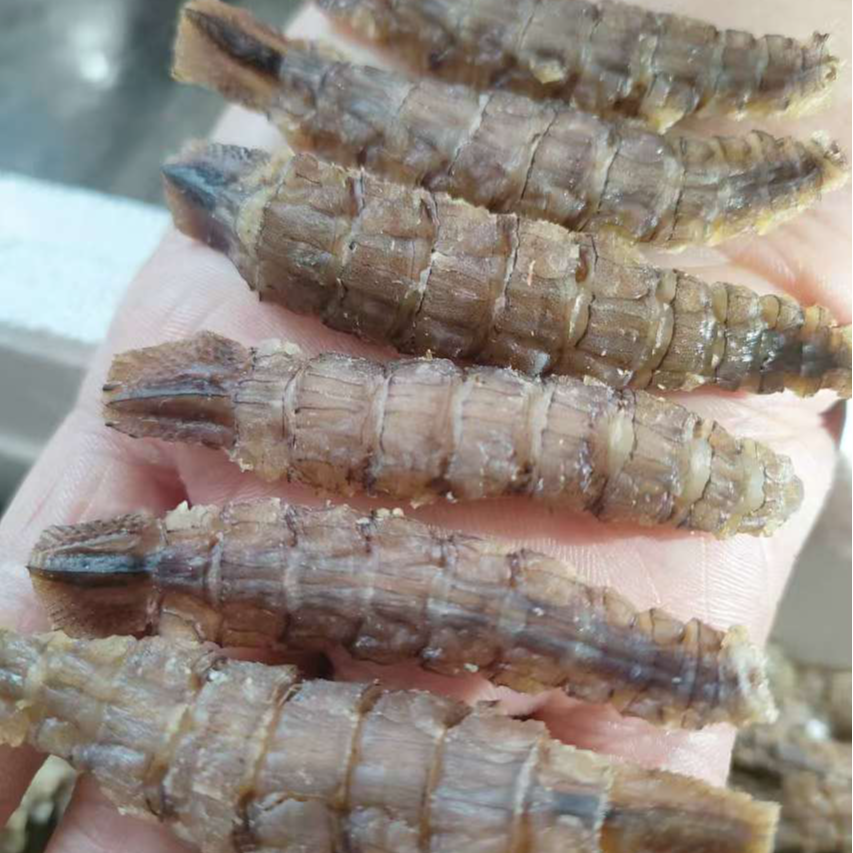 青岛皮皮虾干淡干纯肉孕妇即食零食顺丰发货海鲜