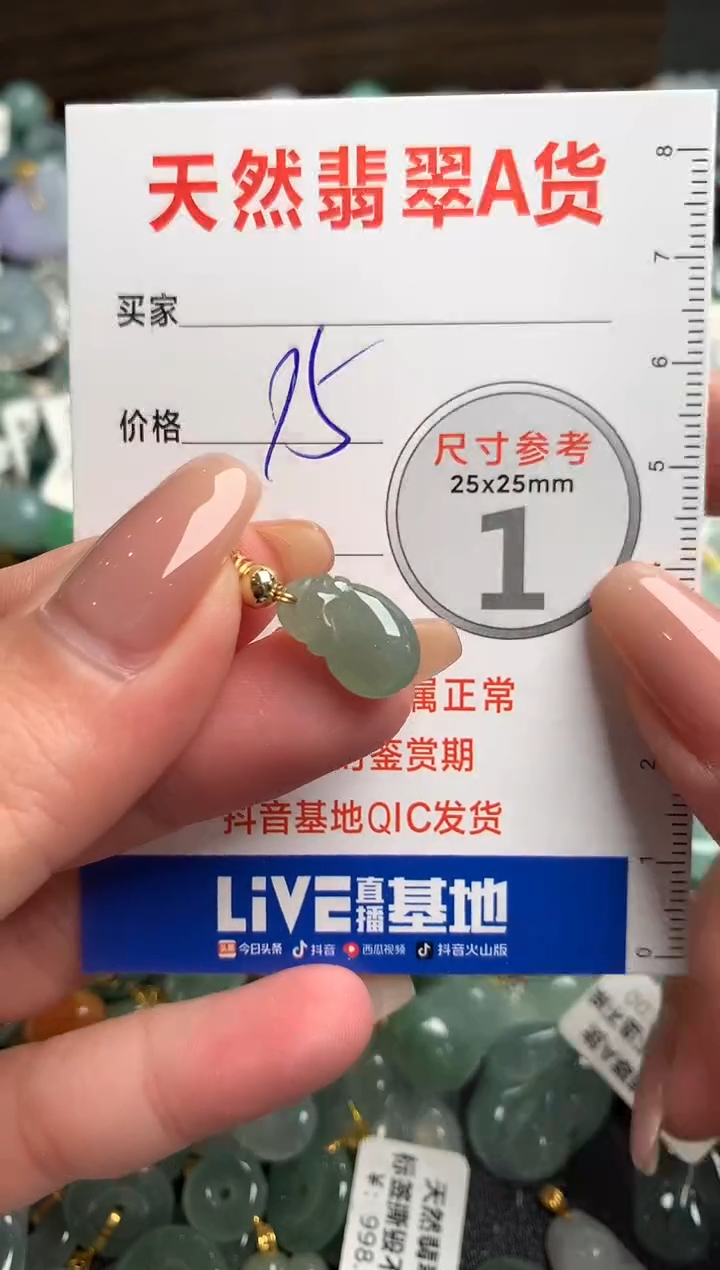 【闪购商品】翡翠颈饰未镶嵌13002661