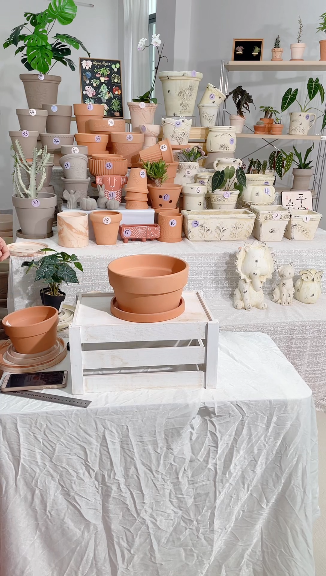 【闪购商品】陶1套带托 红陶矮宽盆 口径21*11