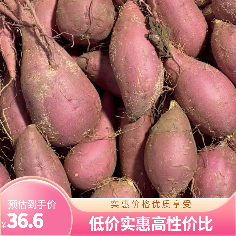 正宗闽侯新鲜沙地红薯番薯榴莲蜜薯