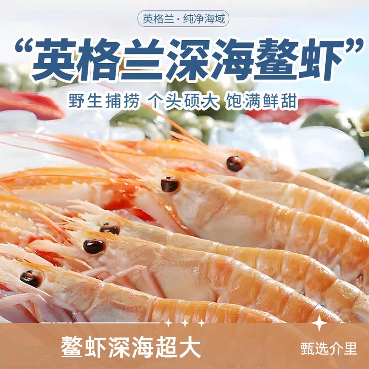 深海海鳌虾超低温1000克8-12只超大规格
