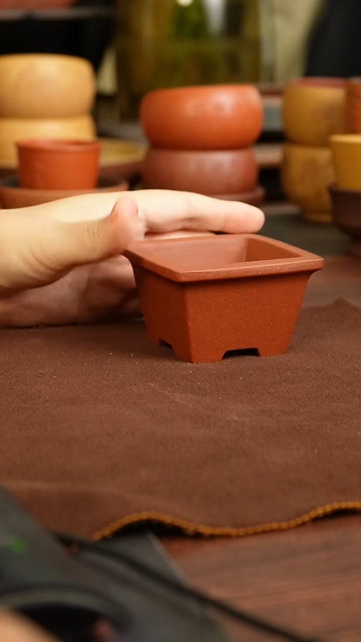 茶杯紫砂444444444444