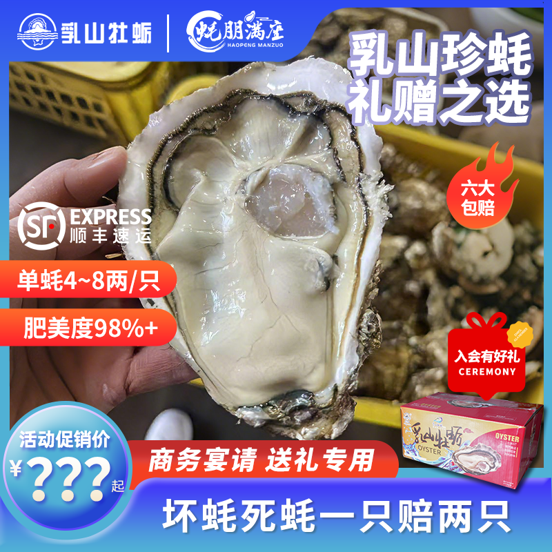【商务宴请精品蚝】蚝朋满座乳山生蚝鲜活精洗乳山特大号生蚝5-10斤