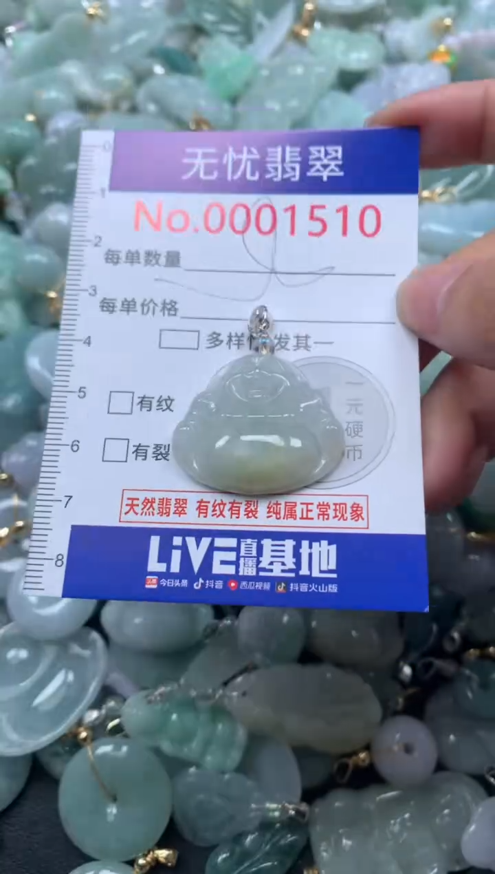 颈饰未镶嵌翡翠1510